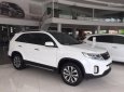 Kia Sorento 2017 - Bán ô tô Kia Sorento đời 2017, màu trắng, nhập khẩu chính hãng