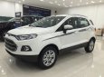 Ford EcoSport Titanium 1.5L AT 2017 - Bán xe Ford Ecosport đời 2018 (Xe cao cấp). Giá xe chưa giảm - Hotline báo giá xe Ford rẻ nhất thị trường: 097.140.7753