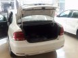 Volkswagen Polo   2015 - Bán Volkswagen Polo năm 2015, màu trắng, nhập khẩu  