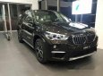 BMW X1 xDrive 18i   2017 - Bán xe BMW X1 xDrive 18i đời 2017, màu đen, nhập khẩu