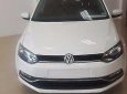 Volkswagen Polo   2015 - Bán Volkswagen Polo năm 2015, màu trắng, nhập khẩu  