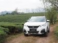 Peugeot 3008 Facelift 2017 - Bán xe Peugeot 3008 Facelift đời 2017, màu trắng