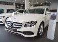 Mercedes-Benz E class E250 2017 - Bán ô tô Mercedes E250 2017, màu trắng, nhập khẩu