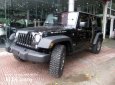 Jeep Wrangler 2017 - Bán xe ô tô Jeep Wrangler đời 2017, màu đen, nhập Mỹ