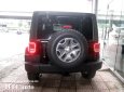 Jeep Wrangler 2017 - Bán xe ô tô Jeep Wrangler đời 2017, màu đen, nhập Mỹ