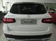 Mercedes-Benz Smart Glc 250  2016 - Bán xe Mercedes GLC 250 đời 2017 đủ màu, xe giao ngay nhiều quà tặng