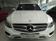 Mercedes-Benz Smart Glc 250  2016 - Bán xe Mercedes GLC 250 đời 2017 đủ màu, xe giao ngay nhiều quà tặng