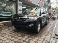 Toyota Land Cruiser 5.7  2017 - Bán Toyota Land Cruiser 5.7 Mỹ đời 2017, màu đen, nhập khẩu nguyên chiếc