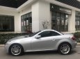 Mercedes-Benz SLK class 2010 - Bán xe Mer SLK 200 mui xếp, sx 2010, màu bạc