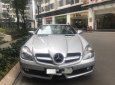 Mercedes-Benz SLK class 2010 - Bán xe Mer SLK 200 mui xếp, sx 2010, màu bạc