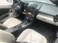 Mercedes-Benz SLK class 2010 - Bán xe Mer SLK 200 mui xếp, sx 2010, màu bạc