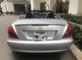 Mercedes-Benz SLK class 2010 - Bán xe Mer SLK 200 mui xếp, sx 2010, màu bạc