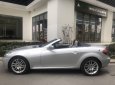 Mercedes-Benz SLK class 2010 - Bán xe Mer SLK 200 mui xếp, sx 2010, màu bạc