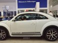 Volkswagen Beetle 2017 - Beetle cuốn hút mọi ánh nhìn, Queen Car