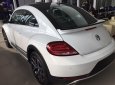 Volkswagen Beetle 2017 - Beetle cuốn hút mọi ánh nhìn, Queen Car
