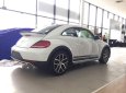 Volkswagen Beetle 2017 - Beetle cuốn hút mọi ánh nhìn, Queen Car