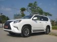 Lexus GX 460 2016 - Bán Lexus GX 460 đời 2016, màu trắng, nhập khẩu nguyên chiếc