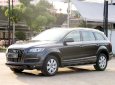 Audi Quattro 2010 - Bán Audi Quattro đời 2010, màu nâu, nhập khẩu  