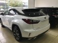 Lexus RX 350 2018 - Bán Lexus Rx350 nhập khẩu đời 2018, nhập khẩu, mới 100%, xe giao ngay