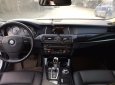 BMW 5 Series 520i 2014 - Bán BMW 5 Series 520i đời 2014, màu trắng, xe nhập  