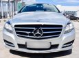 Mercedes-Benz R class R300 2012 - Cần bán Mercedes R300 năm 2012, màu bạc, xe nhập xe gia đình