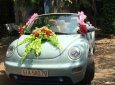 Volkswagen Beetle 2007 - Cần bán xe Volkswagen Beetle đời 2007, nhập khẩu  