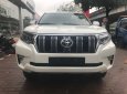 Toyota Prado VX 2018 - Bán Toyota Prado VX 2018, màu trắng mới 100%