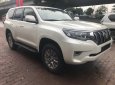 Toyota Prado VX 2018 - Bán Toyota Prado VX 2018, màu trắng mới 100%