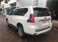 Toyota Prado VX 2018 - Bán Toyota Prado VX 2018, màu trắng mới 100%