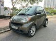 Smart Fortwo 1.0 AT 2009 - Bán Smart Fortwo đời 2009, màu nâu, nhập khẩu số tự động, giá tốt