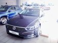 Volkswagen Passat Bluemotion 2018 - Bán Volkswagen Passat Bluemotion đời 2018, nhập khẩu