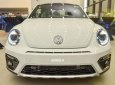 Volkswagen Beetle 2017 - Bán xe Volkswagen Beetle huyền thoại năm 2017, màu trắng, nhập khẩu 0916721166