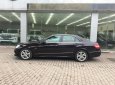 Mercedes-Benz E class E250 AT 2010 - Cần bán Mercedes E250 năm 2010, màu nâu