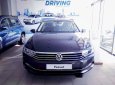 Volkswagen Passat Bluemotion 2018 - Bán Volkswagen Passat Bluemotion đời 2018, nhập khẩu