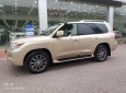 Lexus LX 570 2009 - Bán xe Lexus LX 570 đời 2010, màu vàng, xe nhập