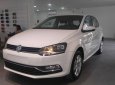 Volkswagen Polo 2017 - Bán ô tô Volkswagen Polo sản xuất 2017, màu trắng, nhập khẩu nguyên chiếc giá cạnh tranh