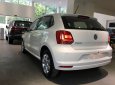Volkswagen Polo 2017 - Bán ô tô Volkswagen Polo sản xuất 2017, màu trắng, nhập khẩu nguyên chiếc giá cạnh tranh
