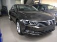 Volkswagen Passat Blue Motion 2017 - Bán Volkswagen Passat Blue Motion 2017, nhập khẩu Mỹ, màu xám