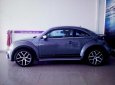 Volkswagen New Beetle DUNE 2017 - Con bọ Beetle Dune 2018 số lượng giới hạn toàn quốc, màu xám (ghi), nhập khẩu