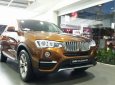 BMW X4 xDrive20i 2018 - Cần bán xe BMW X4 xDrive20i đời 2018, màu nâu, nhập khẩu