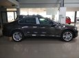 Volkswagen Passat Blue Motion 2017 - Bán Volkswagen Passat Blue Motion 2017, nhập khẩu Mỹ, màu xám