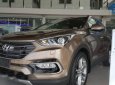 Hyundai Santa Fe   2017 - Cần bán xe Hyundai Santa Fe đời 2017, màu nâu