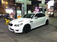 BMW M5 5.0 2007 - Bán ô tô BMW M5 5.0 đời 2007, màu trắng, nhập khẩu