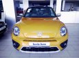 Volkswagen Beetle DUNE 2017 - Bán ô tô Volkswagen Beetle Dune 2018, màu cam, xe nhập