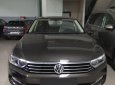 Volkswagen Passat Blue Motion 2017 - Bán Volkswagen Passat Blue Motion 2017, nhập khẩu Mỹ, màu xám