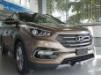 Hyundai Santa Fe   2017 - Cần bán xe Hyundai Santa Fe đời 2017, màu nâu