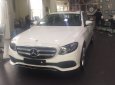 Mercedes-Benz E class E250 2018 - Bán ô tô Mercedes E250 sản xuất 2018, màu trắng