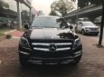 Mercedes-Benz GL 2015 - Cần bán xe Mercedes sản xuất 2015, màu đen, nhập khẩu