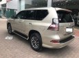 Lexus GX460 2014 - Bán xe Lexus GX460 đời 2015, nhập khẩu