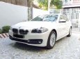 BMW 5 Series 520i 2015 - Cần bán gấp BMW 5 Series 520i đời 2015, màu trắng, xe nhập còn mới